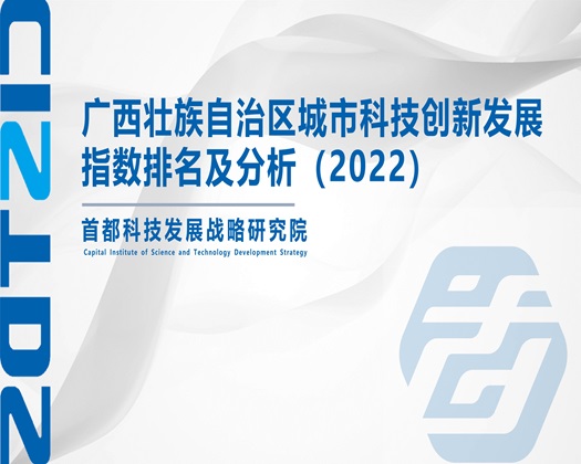 操老太太肥骚逼视频中文对白【成果发布】广西壮族自治区城市科技创新发展指数排名及分析（2022）